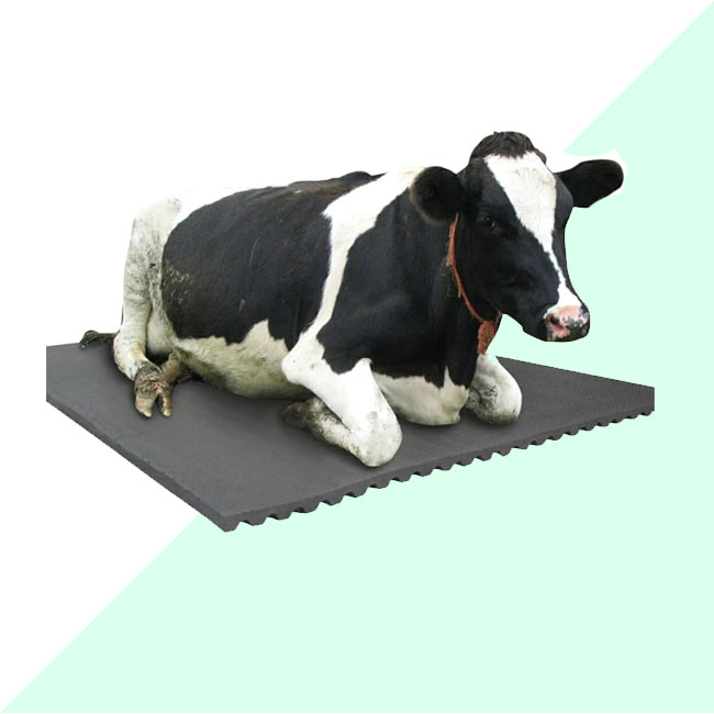 Roto Seeder With Rotavator