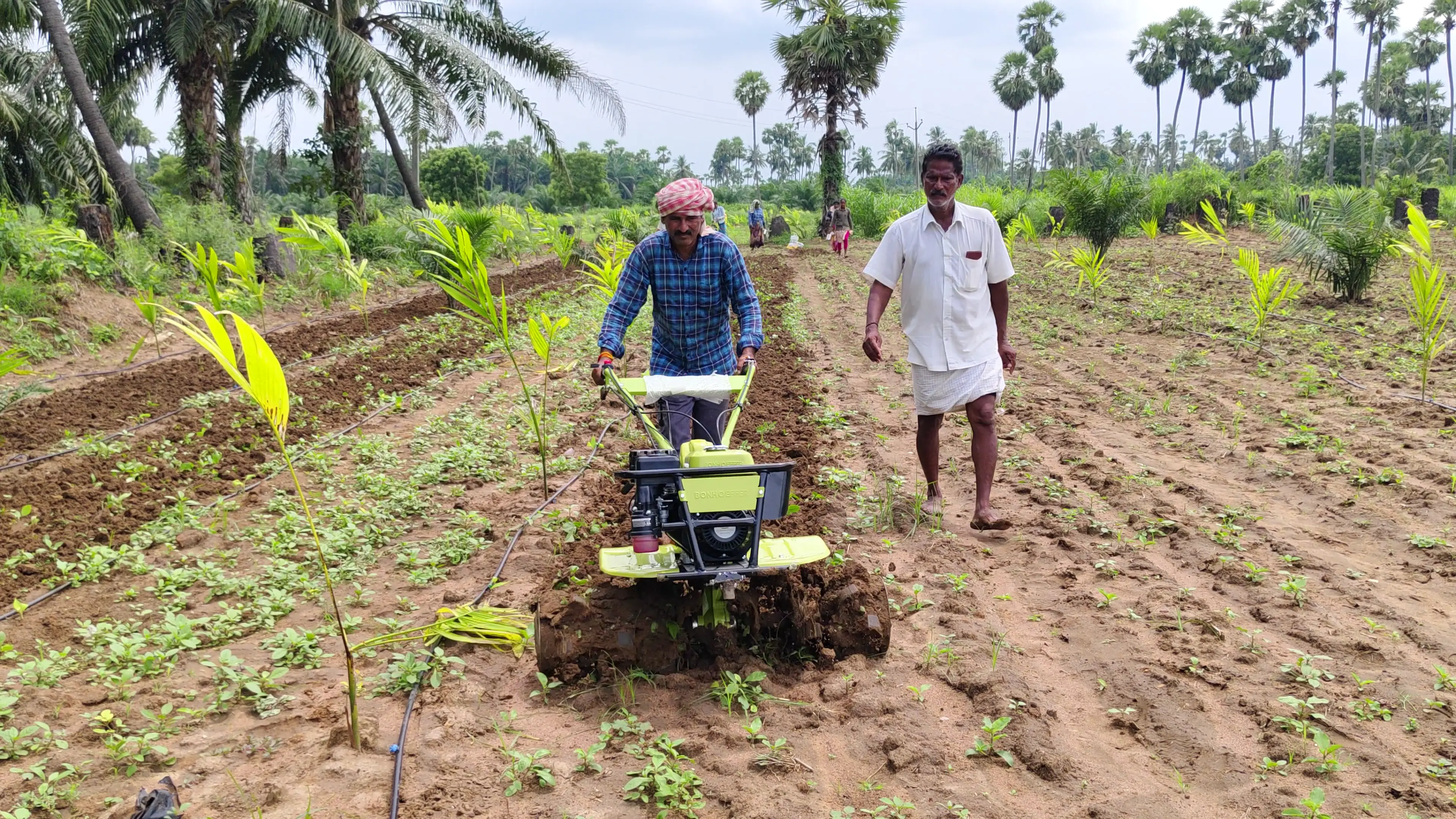 Bonhoeffer Power Weeder